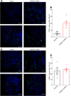 Figure 7