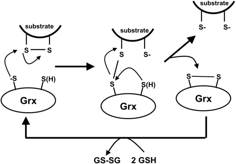 Scheme 12