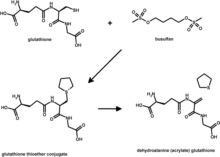 Scheme 8