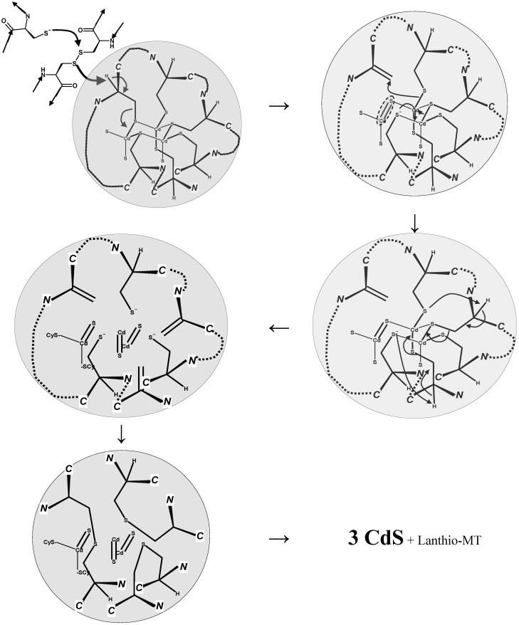 Scheme 14