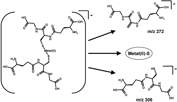 Scheme 6