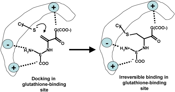 Scheme 9