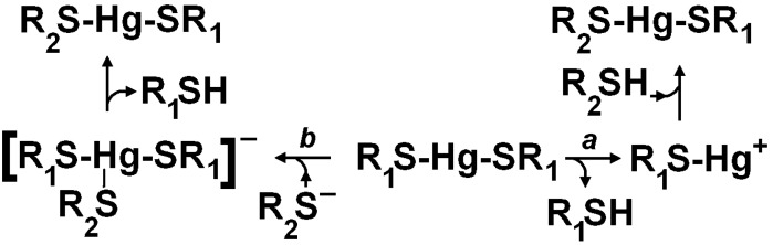 Scheme 4