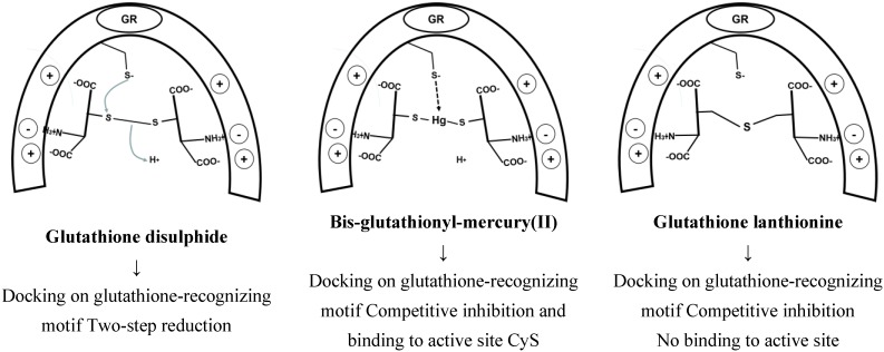 Scheme 11