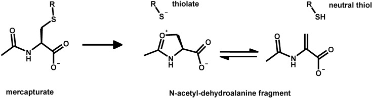 Scheme 7