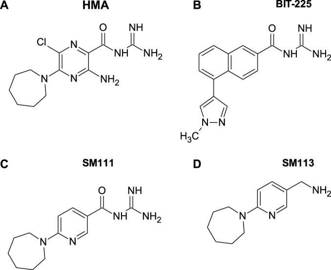 FIG 1