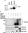 FIG. 6.