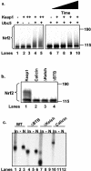 FIG. 7.