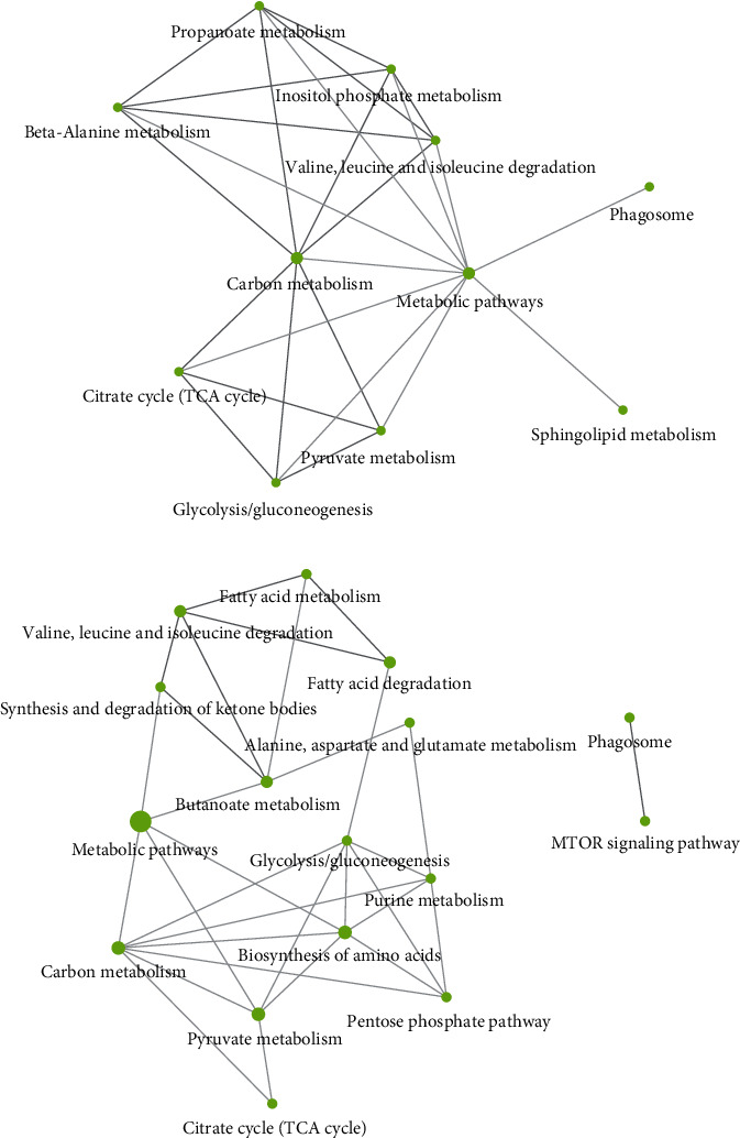 Figure 13