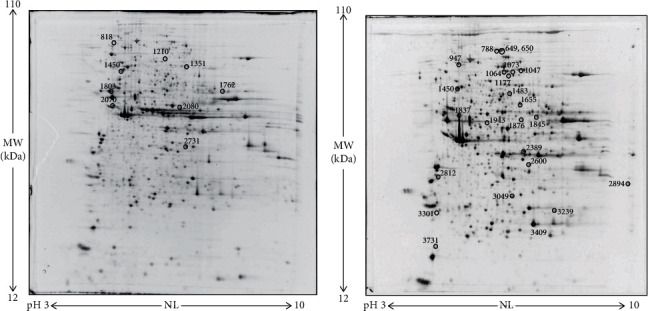 Figure 10