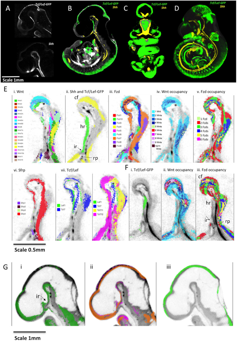 Fig. 7.