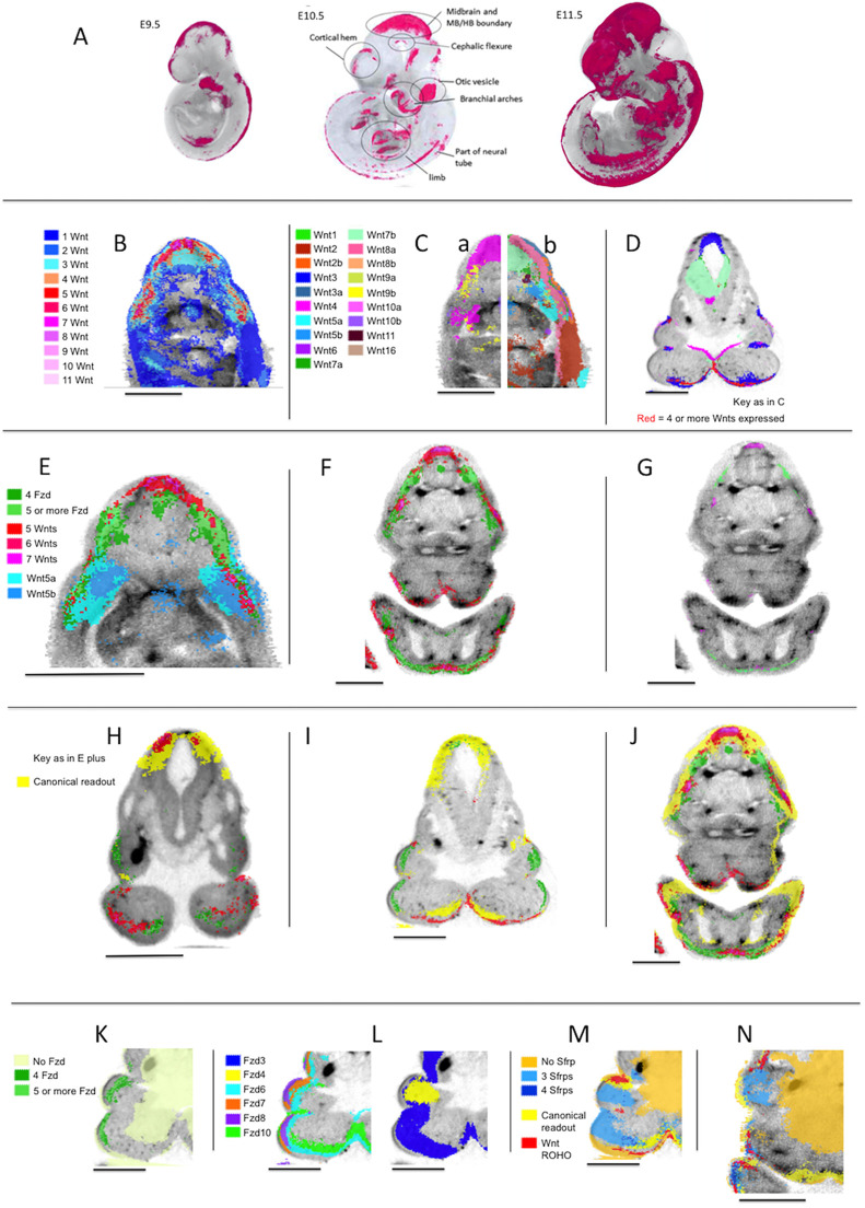 Fig. 4.