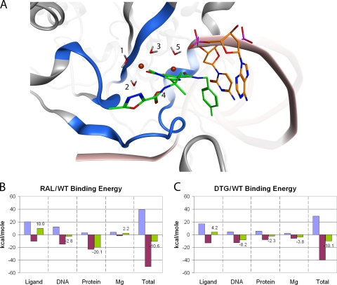 Fig 5