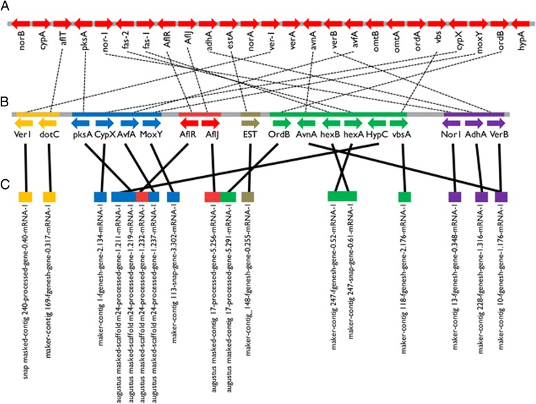 Fig. 6