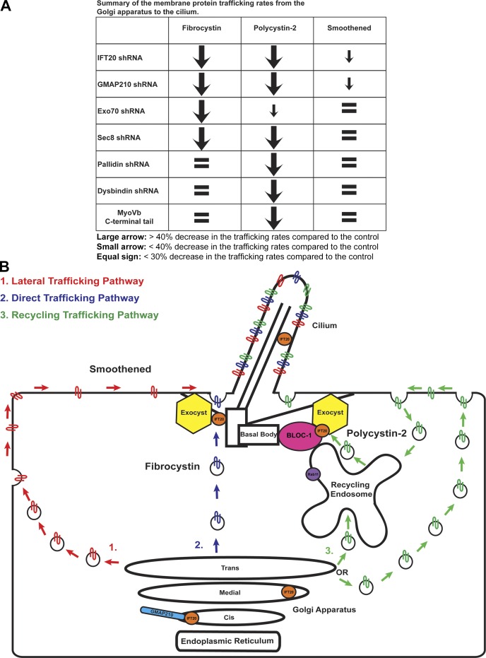 Figure 10.