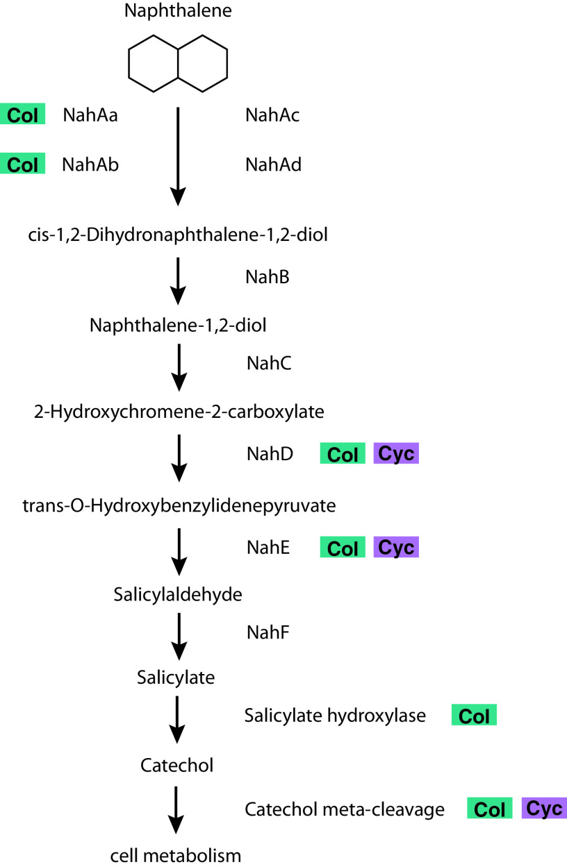 FIG 4