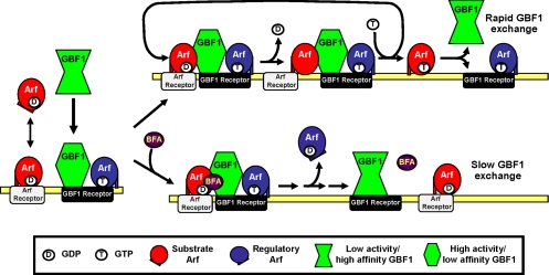 Figure 9.