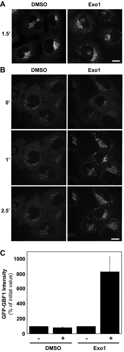 Figure 6.