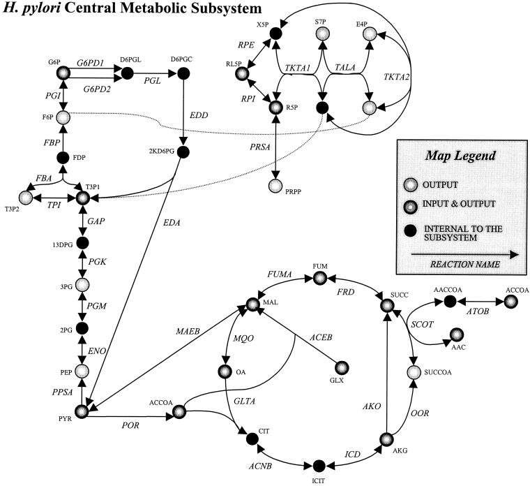 FIG. 2.