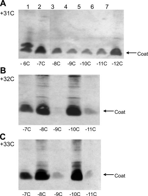 FIG. 7.