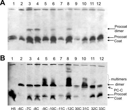 FIG. 5.