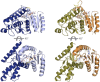 Figure 1—figure supplement 1.