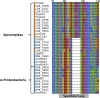 Figure 2—figure supplement 1.