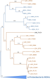 Figure 3—figure supplement 3.