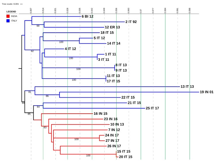 Figure 6