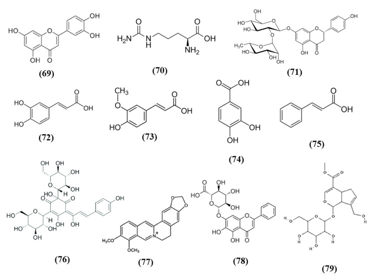 Figure 13