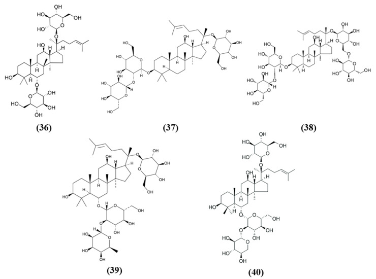 Figure 7