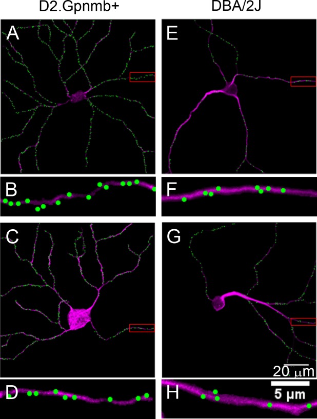 Fig 4