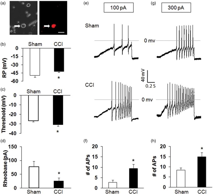 Figure 3.