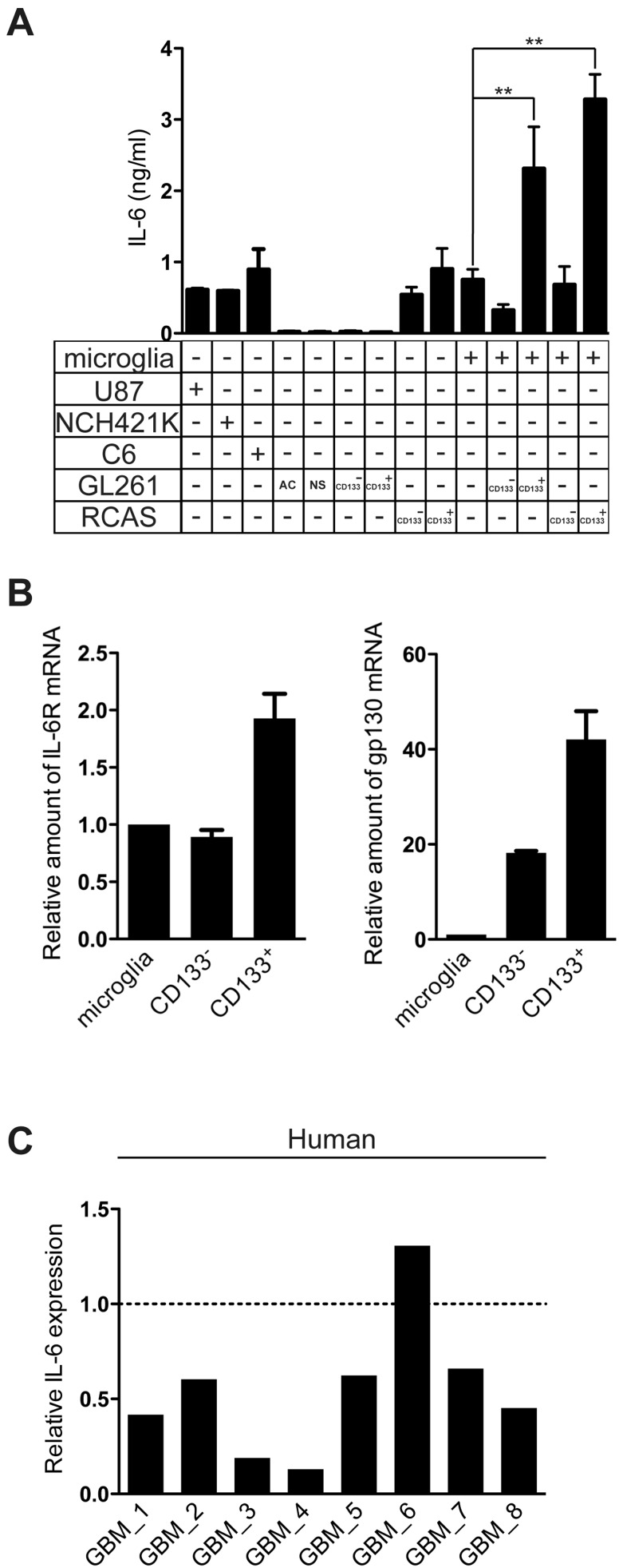 FIGURE 5.