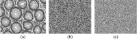 Fig. 18