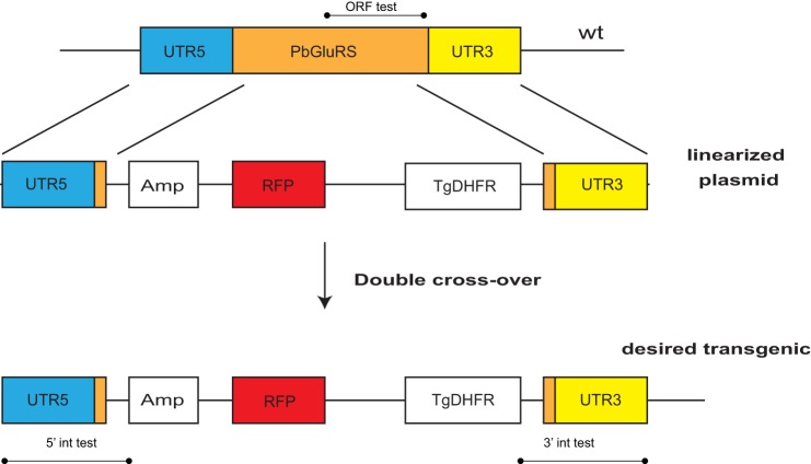 FIGURE 9.