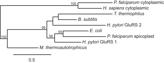 FIGURE 2.