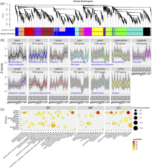 Figure 4: