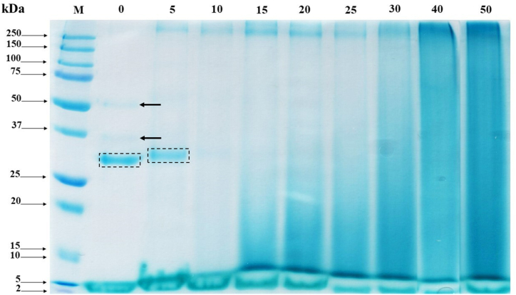 Figure 5