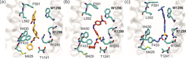 Figure 6