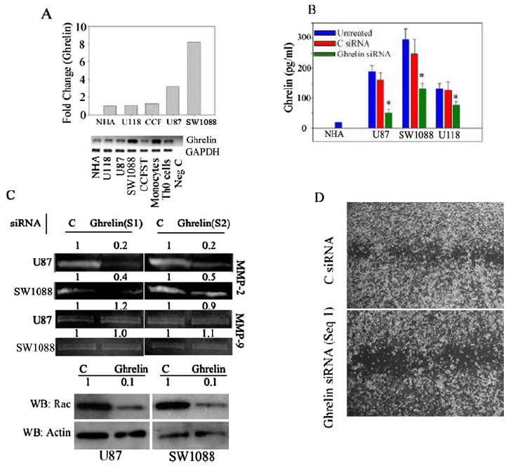 FIGURE 4