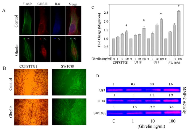 FIGURE 3