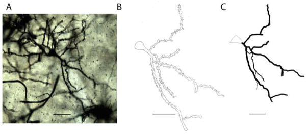 Fig. 6