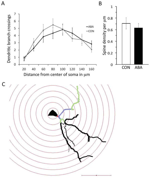 Fig. 8