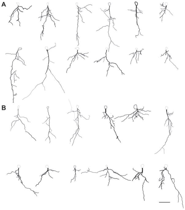 Fig. 7