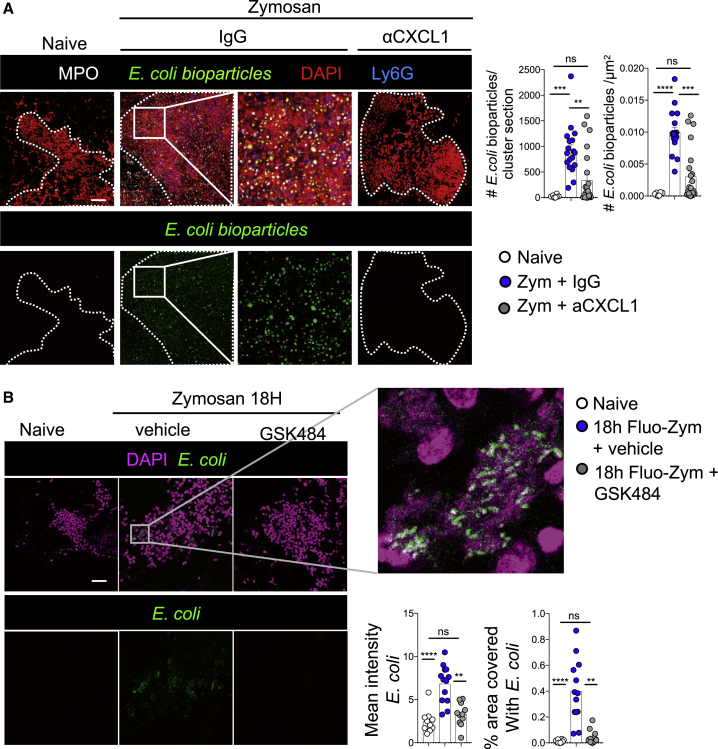 Figure 6