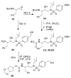 Scheme 4