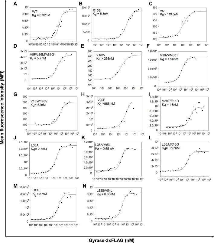 Figure 4—figure supplement 1.