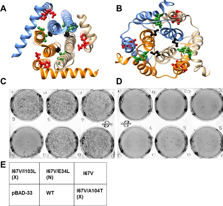 Figure 6.