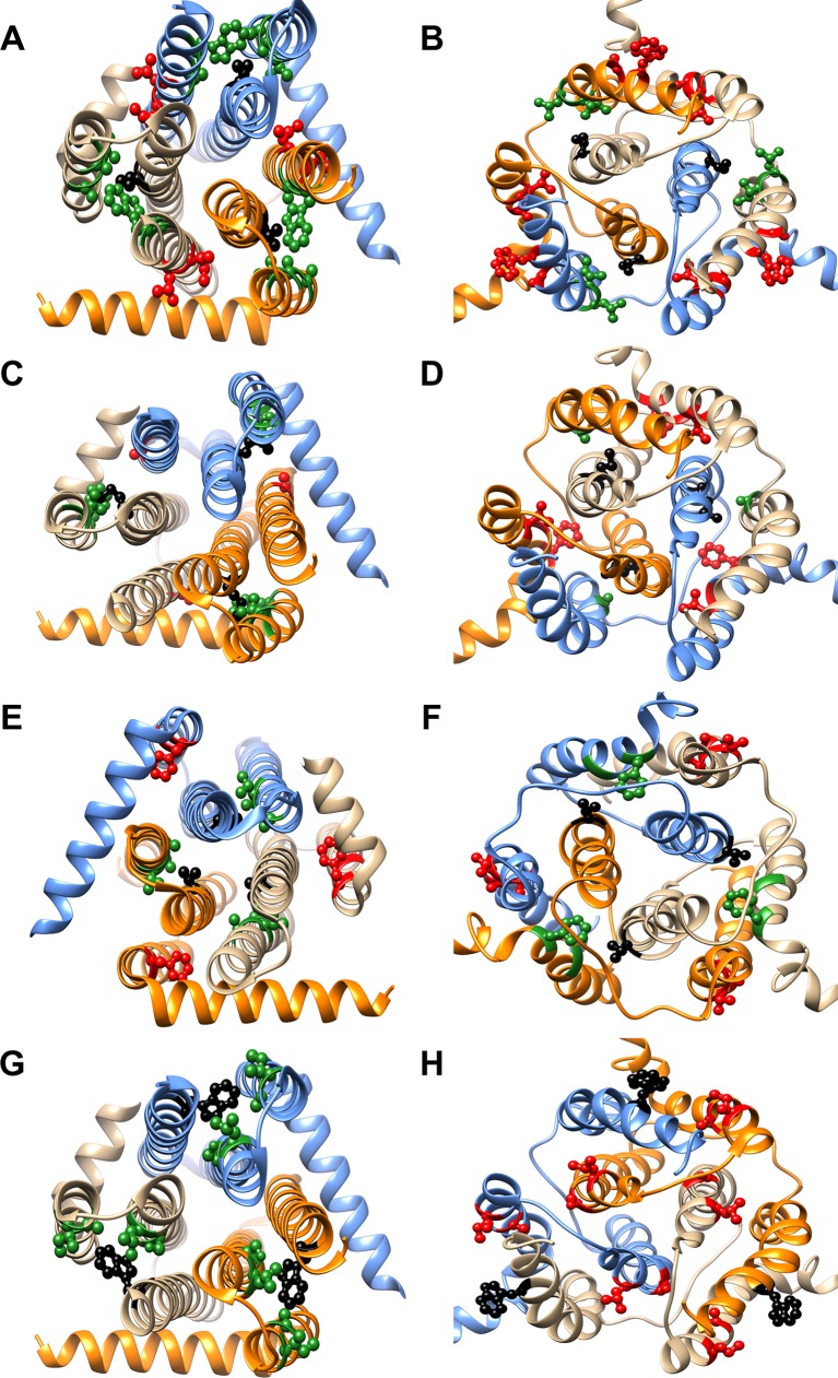 Figure 6—figure supplement 1.